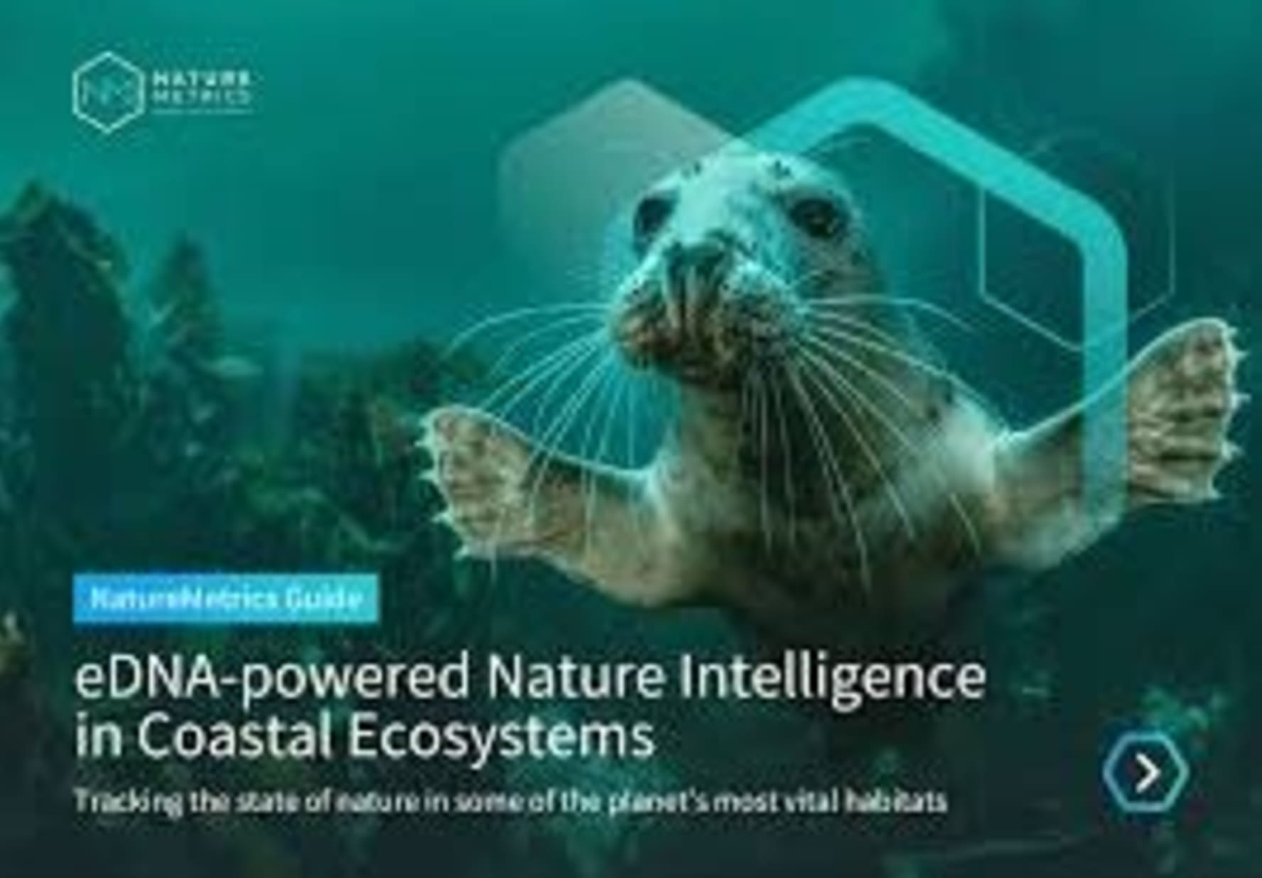 Cover photo for 🌍 Revolutionizing Biodiversity Management with NatureMetrics 🌱
