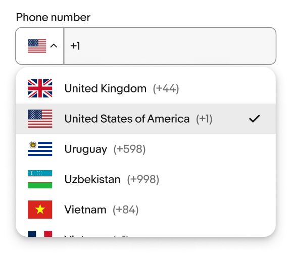 eBay Phone Input component with a flag selection and country code