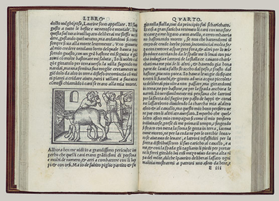 Book from Renaissance era