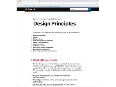 A screenshot of the 10 Design Principles provided by Gov.UK