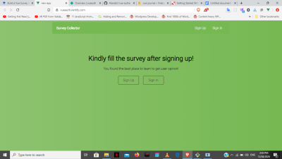 Vue survey app