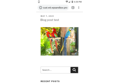 wordpress blog post demo image optimization mobile display