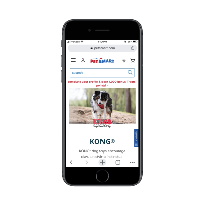 PetSmart category page for kong dog toys