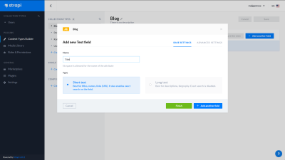 A screenshot of the Strapi dashboard - creating a new text field
