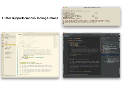Flutter Tooling