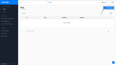 A screenshot of the Blog collection type with the 'add new blog' button highlighted