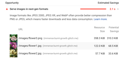 Lighthouse highlights potential savings from serving images in a next-generation format.