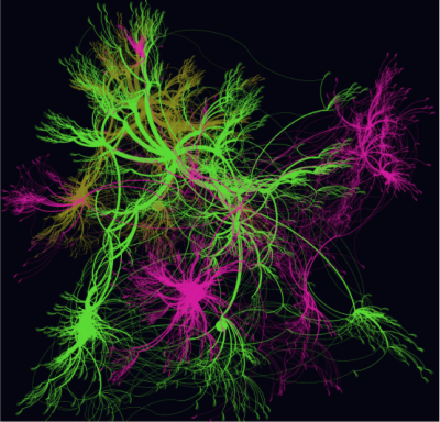 Representation of a multi-colored network showing many connections to an idea