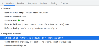 Facebook indicates Alt-Svc for its home page