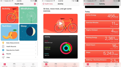 The Health app (designed by Apple) provides information about the current section (the navigation option “Health data” is highlighted) and subsection (the headline “Activity” is visible at the top of the layout).