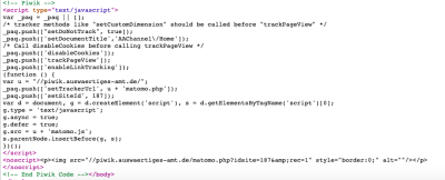 Screengrab of Matomo code from eu2020.de