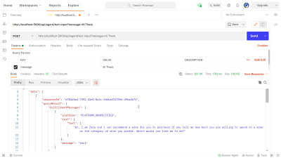 Testing the text-input API endpoint using Postman.