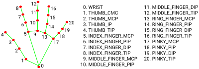 A map of numbered points on a hand