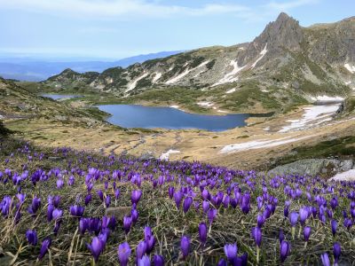 Seven Rila Lakes