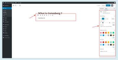 Gutenberg Text Editor Options