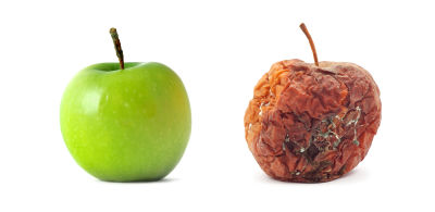 A visual comparison of a fresh apple and rotten apple.