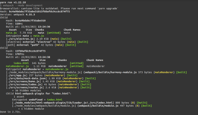 webpack compiler logs in development mode