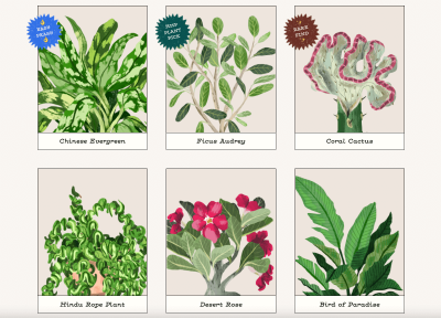 Plant Guides, From A To Z