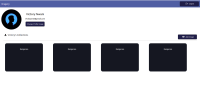 A user’s profile page which with an update profile image