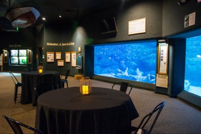 Two circular tables with black tablecloths are set with white candles in lantern holders in front of the windows displaying the manatee in the manatee exhibit.