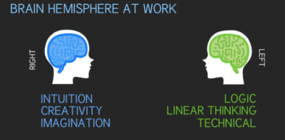 Visual.ly infographic: web designer vs. web developer right vs. left brain