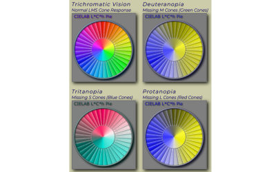 Visualization of different types of color vision deficiency