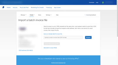 The PayPal bulk invoice importer provides a single paragraph with instructions on how to use the importer