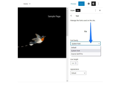 A screenshot of WordPress Full-Site Editing typography