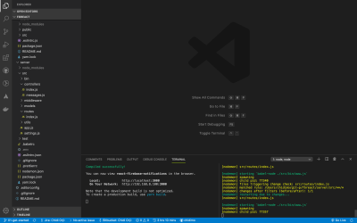 Frontend and backend servers running