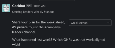 A screenshot of a geekbot standup