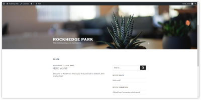 a blank WordPress website, with the Twenty Seventeen theme installed