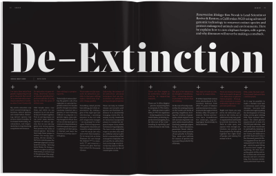Avaunt magazine spread