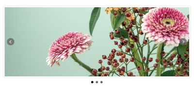 An example carousel demo created with bxSlider