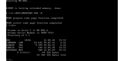 A screenshot of MS DOS