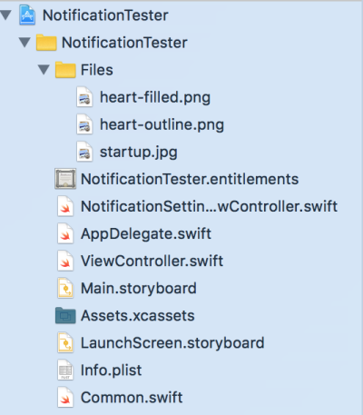 Project navigator shown in Xcode.