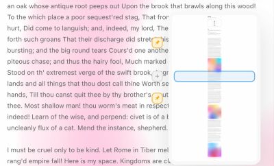 A screenshot of text on screen where users can mark and pin particular parts of the text to jump to anytime