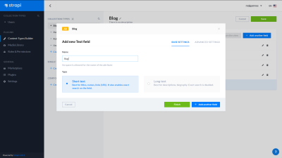 A screenshot of the Strapi dashboard - adding a new text field