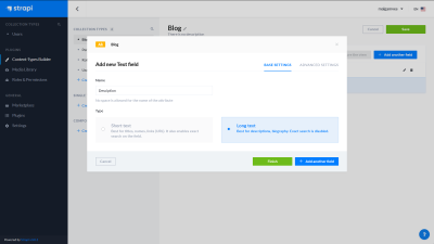 A screenshot of the Strapi dashboard - creating a new text field