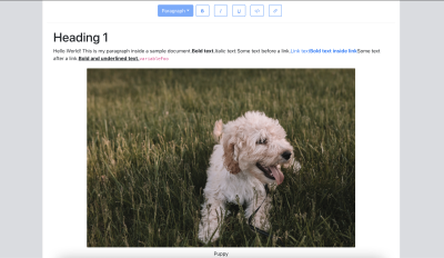 Image rendered in the Editor