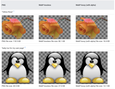Google WebP Gallery comparison against PNG