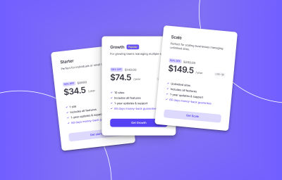 Screenshot displaying Droip’s pricing plans and features.