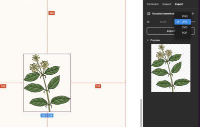 An image featuring Figma’s export feature