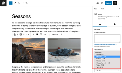 Aspect ration settings for an image block