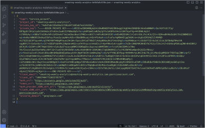 A screenshot of .json file in a code editor