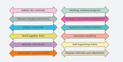 Agile goals