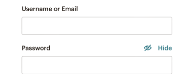 Signing form with fields for username and password with an option to hide the password