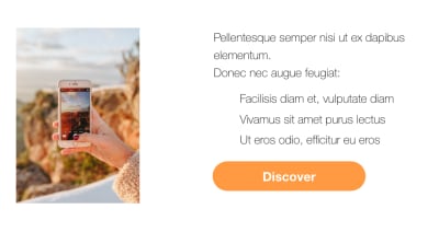feature section