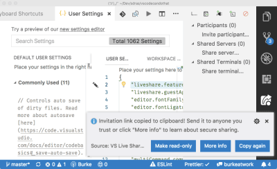 vs code notification prompting user to choose read-only sharing