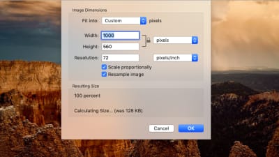 Unsplash原始照片上的ImageKit调整大小示例