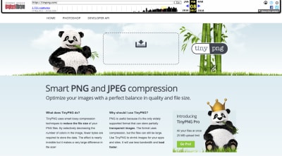 TinyPNG website 2017